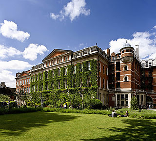 <span class="mw-page-title-main">GKT School of Medical Education</span> Medical school of Kings College London