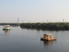 Gozdovi mangrov so bogati južno od Karačija v Pakistanu