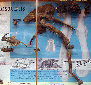 <i>Megalosaurus</i> Genus of Jurassic-aged theropod dinosaur