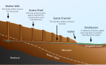 A cross section of a typical quanat, illustrated