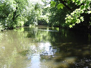 <span class="mw-page-title-main">River Crane, London</span> River in England