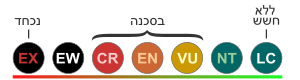 תרשים מצבי השימור המקובלים