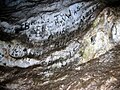 Afrikaans: Rotstekeninge in die Sterkfonteingrotte deur moderner mense. English: Grafitti in the Sterkfontein Caves.