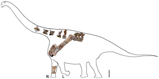 <i>Yongjinglong</i> Extinct genus of dinosaurs