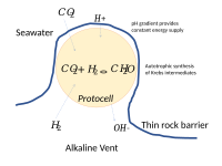 在热液喷口中与薄岩层接触的原生细胞从pH梯度中获得了外部的能量供应。[249]
