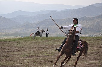 Cirit in het Sarıkamış-Allahuekber Nationaal Park, 2011