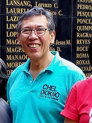 <span class="mw-page-title-main">Chel Diokno</span> Filipino lawyer