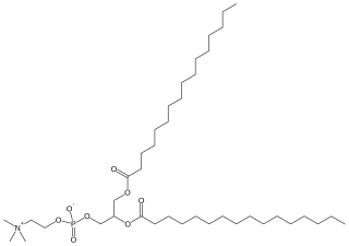 <span class="mw-page-title-main">Dipalmitoylphosphatidylcholine</span> Chemical compound