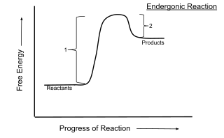 <span class="mw-page-title-main">Endergonic reaction</span> Chemical reaction which requires more energy to initiate than it produces