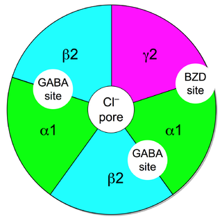 GABA<sub>A</sub> receptor positive allosteric modulator GABAA receptor positive modulators