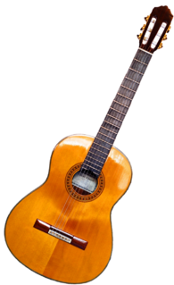 Guitar Fretted string instrument