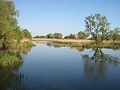 Nebenarm bei Döberitz (HVL)