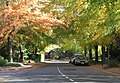 Linnaeus Way at Australian National University