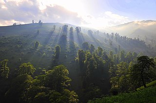 <span class="mw-page-title-main">Masal</span> City in Gilan province, Iran