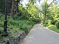 Morningside Park (2014)