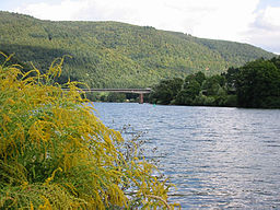 Neckar nära Heidelberg.