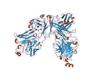 <span class="mw-page-title-main">CD20-like family</span>