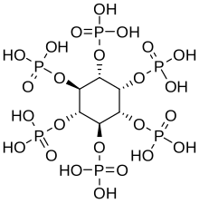 Structural formula of phytic acid