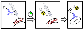 <span class="mw-page-title-main">Pretargeting (imaging)</span>