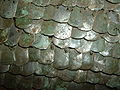 Roman scale armour detail