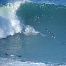 Oj, La Jolla, California