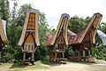 Image 83Tana Toraja in South Sulawesi, one of Destination Management Organization in Indonesia (from Tourism in Indonesia)