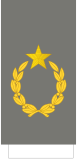 Yugoslavia-Army-OF-10 (1943-1947).svg