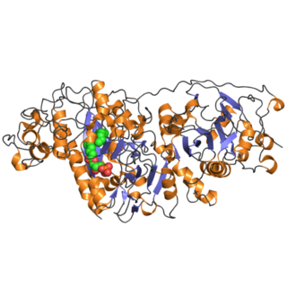 <span class="mw-page-title-main">Autotaxin</span> Protein-coding gene in the species Homo sapiens