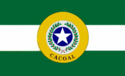 Cacoal – Bandiera