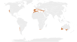 Mediterrane bossen, bosland en struwelen