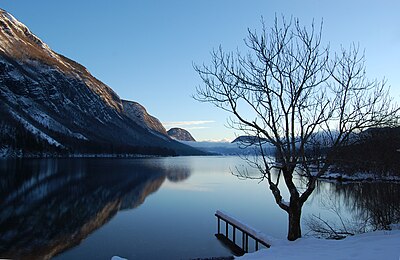 Slika:Bohinjsko jezero 2.jpg