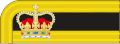 1856 to 1867 Lieutenant Colonel's collar rank insignia