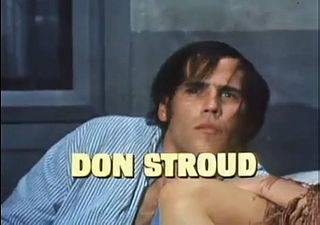 <span class="mw-page-title-main">Don Stroud</span> American actor, musician, and surfer (born 1943)