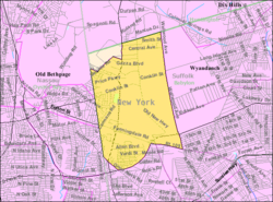 U.S. Census map