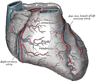 <span class="mw-page-title-main">Left anterior descending artery</span>