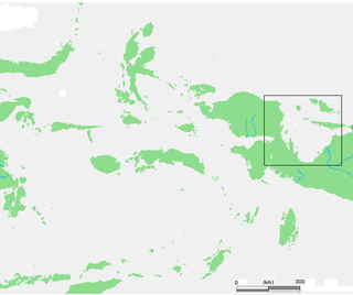 <span class="mw-page-title-main">Cenderawasih Bay</span> Bay in northern Province of Papua and West Papua, New Guinea, Indonesia