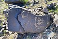 * Nomination Khavtsgait Petroglyphs, Gobi Desert, Mongolia --Bgag 04:26, 28 November 2024 (UTC) * Promotion  Support Good quality. --Jakubhal 04:43, 28 November 2024 (UTC)