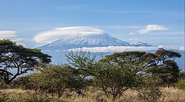 De Kilimanjaro gezien vanuit Amboseli