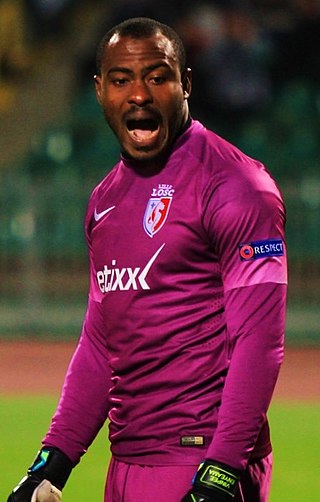 <span class="mw-page-title-main">Vincent Enyeama</span> Nigerian professional footballer