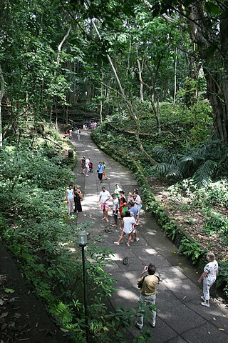 <span class="mw-page-title-main">Ubud Monkey Forest</span> Forest reserve in Bali, Indonesia