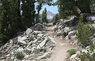 Trail S of Duck Pass, framed mountain