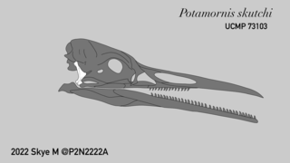 <i>Potamornis</i> Extinct genus of birds