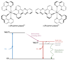 Figure 3. Top: renditions of the L and D enantiomers of [Ru(phen)2dppz] , where phen=1,10-phenanthroline and dppz=dipyrido[3,2-a:2,3-c]phenazine. Bottom: Jablonski diagram representing the aqueous quenching of [Ru(phen)2dppz] emission, depicting bright states and dark states. Ru and jablonski.png