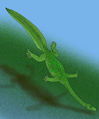 <i>Shokawa</i> Extinct genus of reptiles