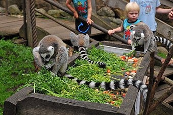 Skansen-Akvariet.