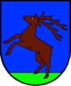 Wappen von Kuchl