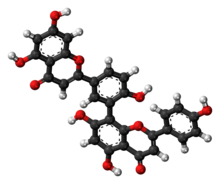 Ball-and-stick model of amentoflavone