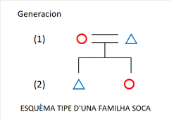 Esquèma tipe d'una familha conjugala