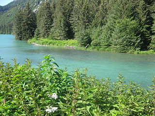 <span class="mw-page-title-main">Chilkoot River</span> River in US