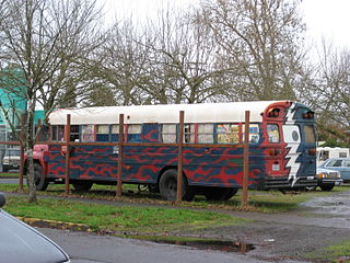 <span class="mw-page-title-main">Deadhead</span> Dedicated fan of the Grateful Dead and/or spinoff bands from the Grateful Dead